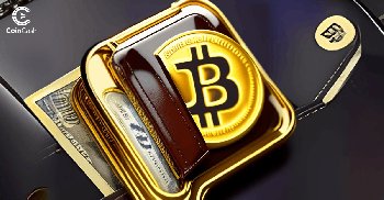 Mi az a bitcointárca és milyen típusai vannak?